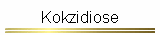 Kokzidiose