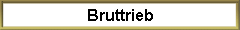 Bruttrieb