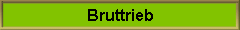 Bruttrieb